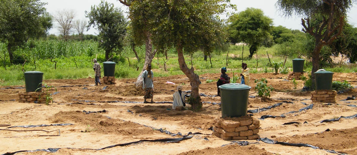 Garden at Handaga Village