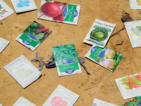 seeds for the garden